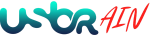 usbrain1